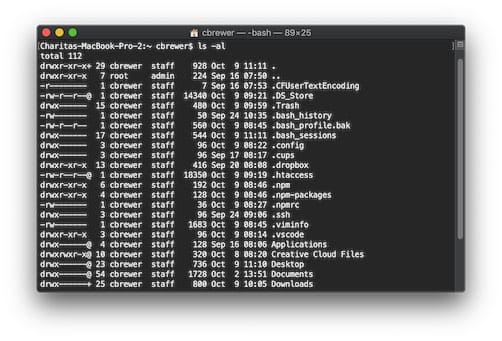 terminal cache flush for sierra mac os x